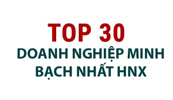 Top 30 doanh nghiệp minh bạch nhất HNX - Tập đoàn CEO