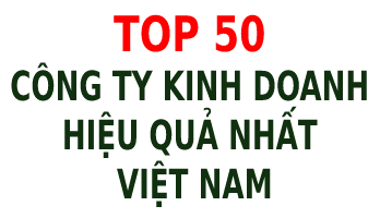 Top 50 công ty kinh doanh hiệu quả nhất Việt Nam - Tập đoàn CEO