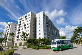 Không gian xanh mát tại Bamboo Garden