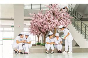 CEO Dịch vụ & Trường Cao đẳng Đại Việt: Nơi chắp cánh ước mơ đến Nhật