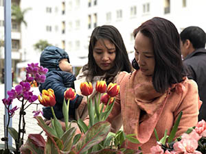 Khai mạc Chợ hoa Sunny 2018 tại Sunny Garden City