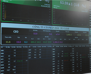 Sáng 29/9, cổ phiếu CEO chính thức chào sàn HNX