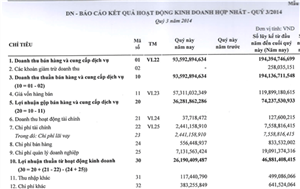 CEO Group hoàn thành vượt mức kế hoạch doanh thu và lợi nhuận năm 2014