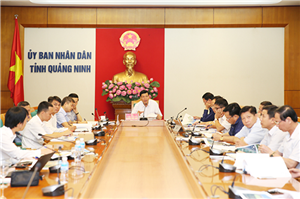 Tập đoàn CEO đề xuất ý tưởng xây dựng Khu tổ hợp du lịch SonaSea Dragon Bay tại Vân Đồn