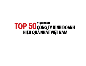 CEO Group lọt Top 50 Công ty kinh doanh hiệu quả nhất Việt Nam