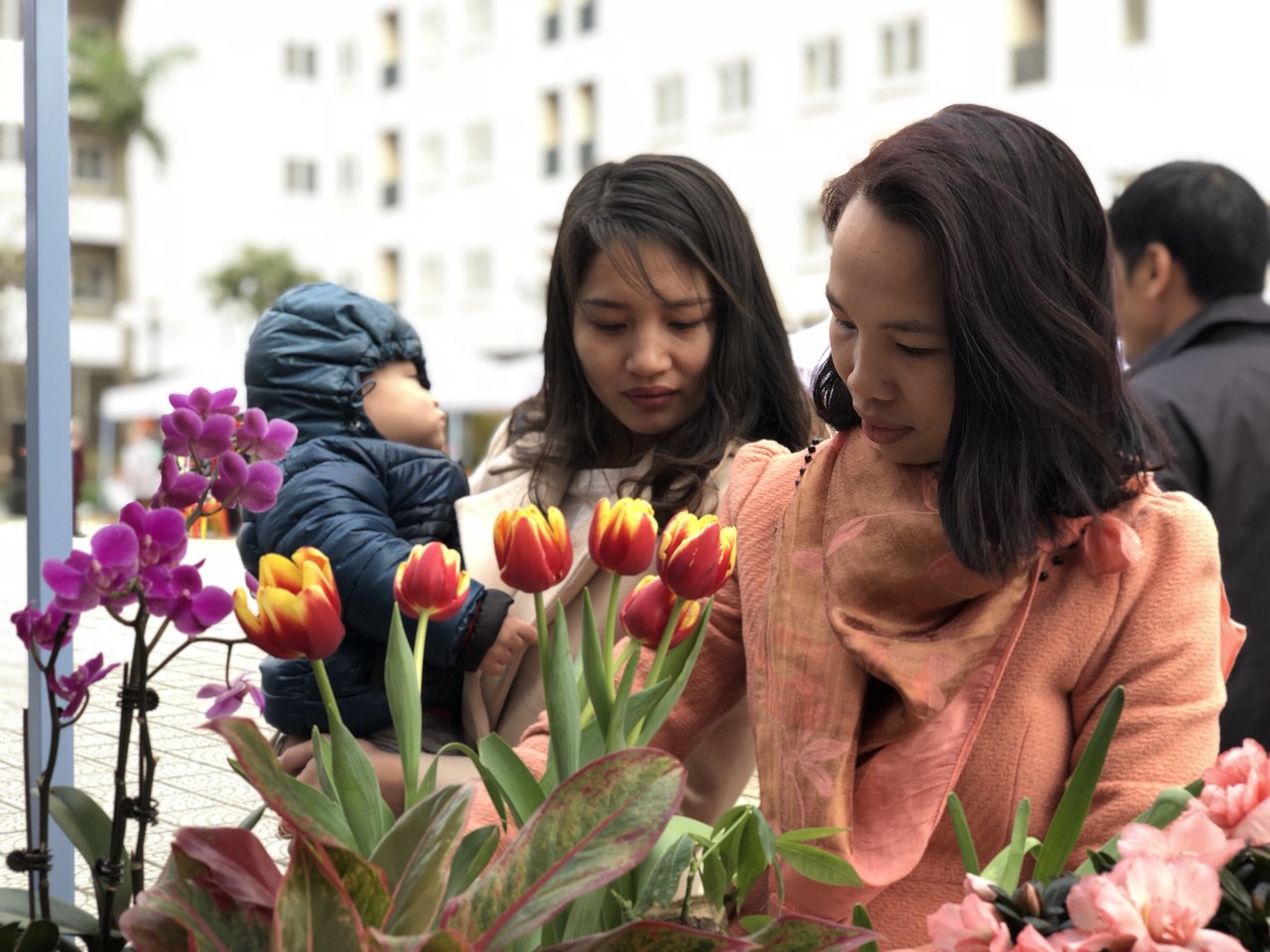 2018年サニー花市場はサニーガーデンシティ（Sunny Garden City）にて開始