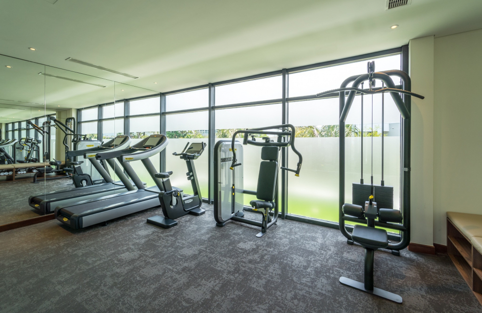 432754746 398461336153725 6552762971441787148 N 986x640