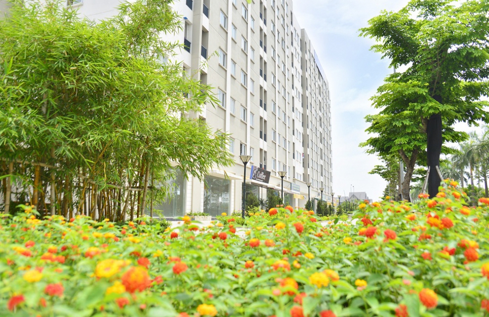 Dsc2422 Edit 986x640